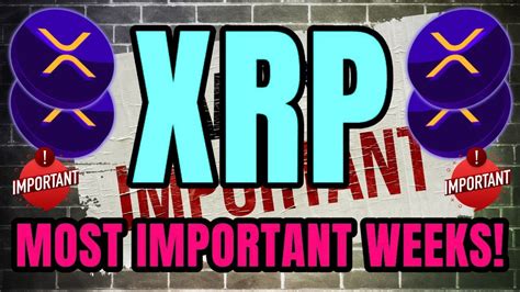 Xrp Ripple This Is One Of Our Most Important Weeks Xrp Latest News