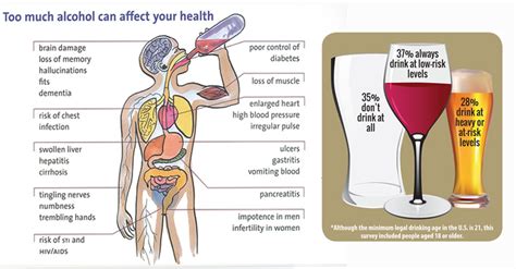 Action Of Alcohol On Internal Organs