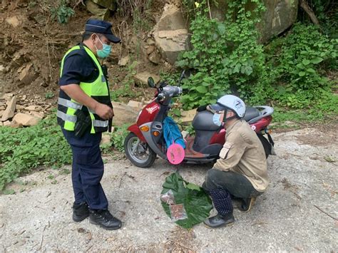 物聯網監控立功 山老鼠竊取牛樟芝遭埋伏逮捕 環境資訊中心