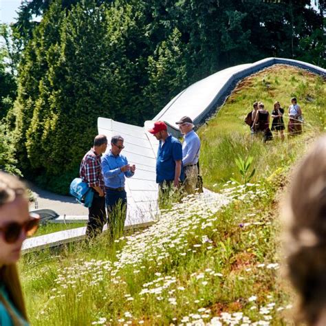 Vancouver's Cherry Blossom Festival - Connect Landscape Architecture