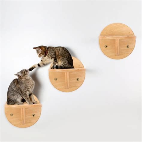 Griffoir Hamac Mural En Bois Pour Chats Tag Re Pour Chats Cadre D