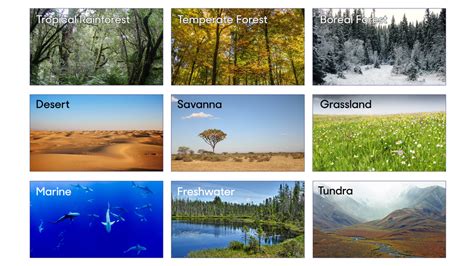 Newsela | What makes a biome?