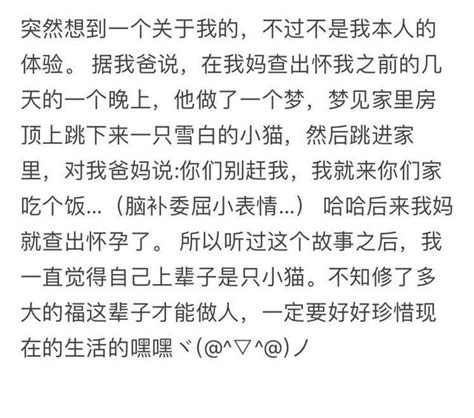 你擁有前世的記憶嗎：我的前世是只貓 每日頭條