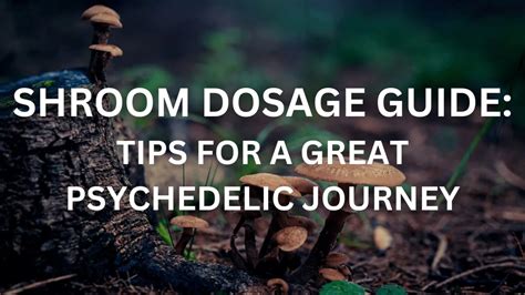 Shroom Dosage Guide: Learn About Magic Mushroom Dosage | Astral Agency