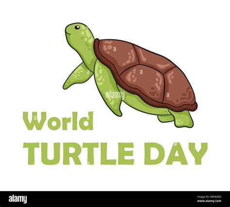 World Turtle Day 23 May In Simple Cartoon Flat Style Design Banner