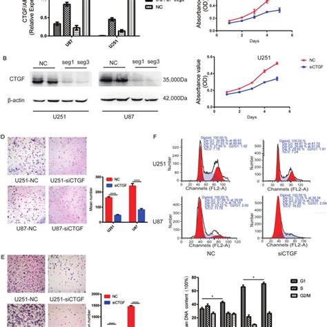 Downregulation Of Ctgf Inhibited Glioma Cell Proliferation Migration