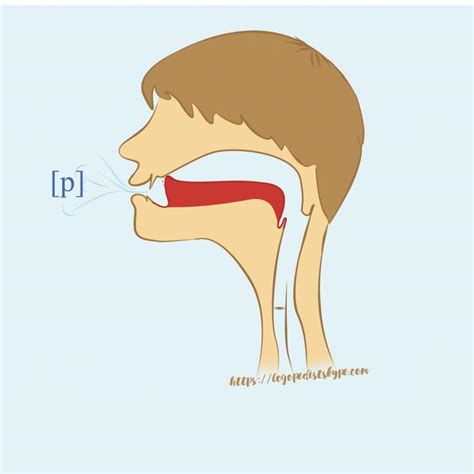Норма, правильное произношение звуков Р, Рь | Дефектология Проф