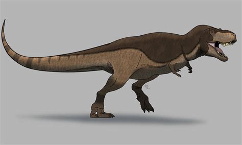 Yet Another T Rex By Allotyrannosaurus On Deviantart