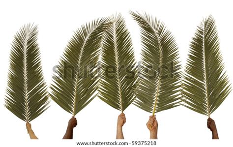 Five Hands Waving Palm Branches Against Stock Illustration 59375218