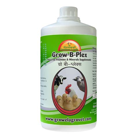 Buy Growel Grow B Plex Vitamins Minerals Supplements For Birds