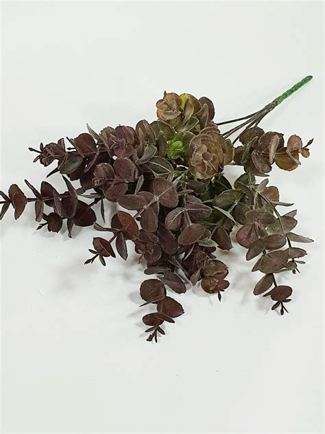 Букет Эвкалипта - Оптовый центр "Крокус" в Туле