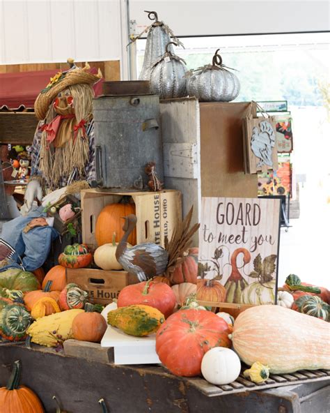 Fall Harvest Weekends - White House Fruit Farm