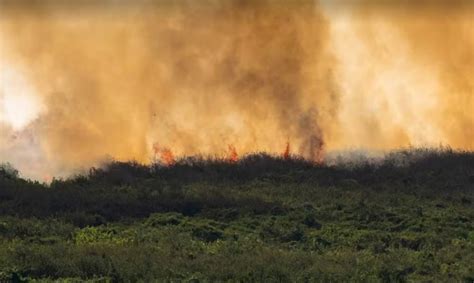 Incêndios no Pantanal MS decreta situação de emergência