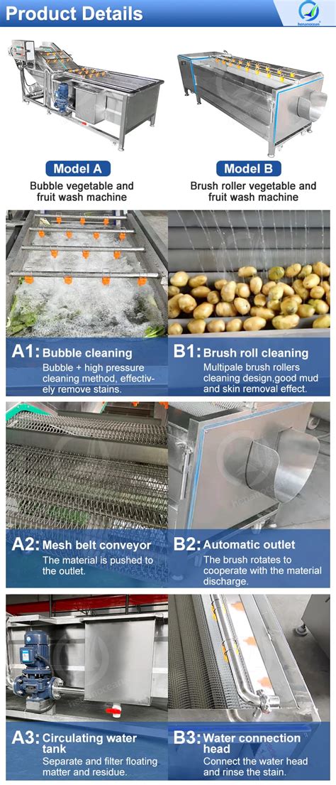 Bubble Fruit Vegetable Washing Machines Industrial Vegetable Washer