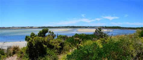 Livingstone Island, Nelson - Beautiful Altona