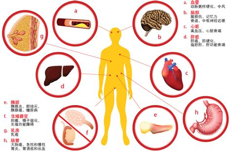 健康专题 Who：全球每年300万人酗酒致死！