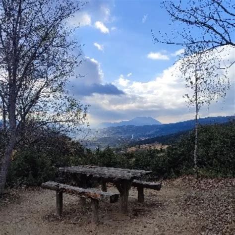 MILF En Medias XHamster