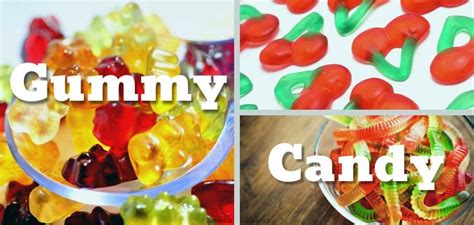 All About Gummy Candy – The Big Gummy Guide