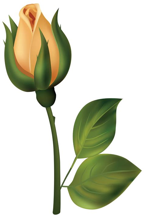 Yellow Rose Bud Png Clipart Best Web Clipart