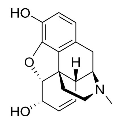 Opioids Not Finished Flashcards Quizlet