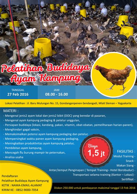 Pelatihan Bisnis Ternak Ayam Kampung