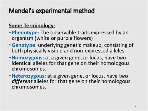 Chapter 12 Mendels Experiments And Heredity General Biology