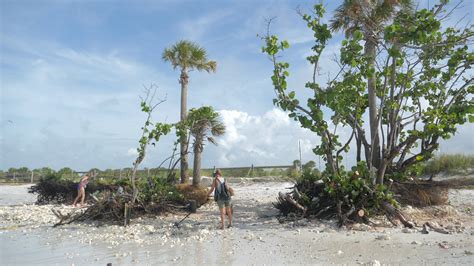 Hurricane Michael Damage At Honeymoon Island 11am SurfingtheGulf