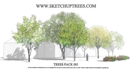 SketchupTrees Sketchup Trees, 2D Trees, 3D Trees Sketchup, 54% OFF