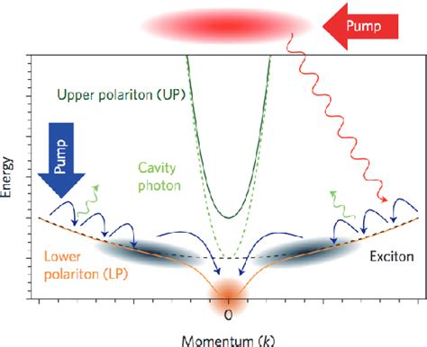 Figure From Dynamics Of An Exciton Polariton Condensate Semantic