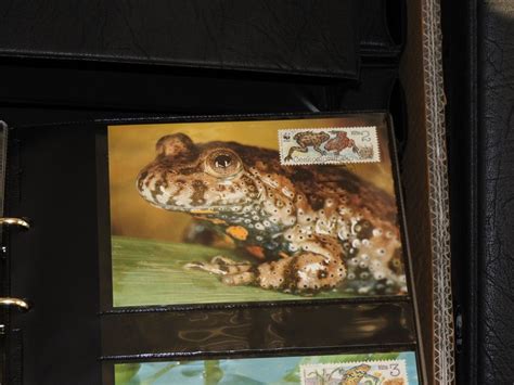 Wwf Briefmarkensammlung Kaufen Auf Ricardo