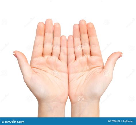 Female Hands Palms Held Subject Royalty Free Stock Photography Image