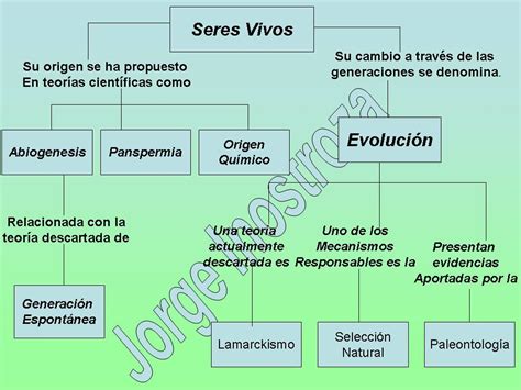 Actividad Ciencias Evolucion De Los Seres Vivos Mapa Conceptual Porn