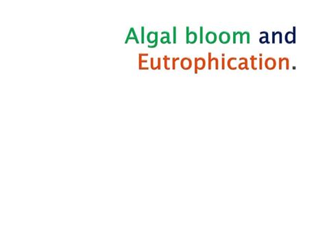 Algal-bloom and Eutrophication.......... | PPT