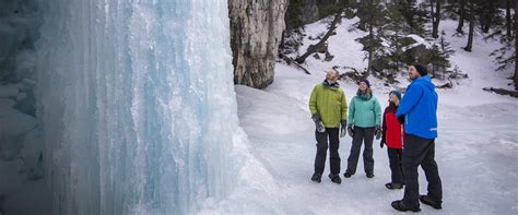 Hike Johnston Canyon Icewalk Discover Banff Tours