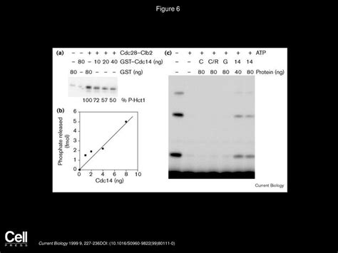 Inhibitory Phosphorylation Of The APC Regulator Hct1 Is Controlled By