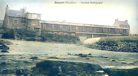 Institut Biologique Roscoff Pierre Cuzon Flickr