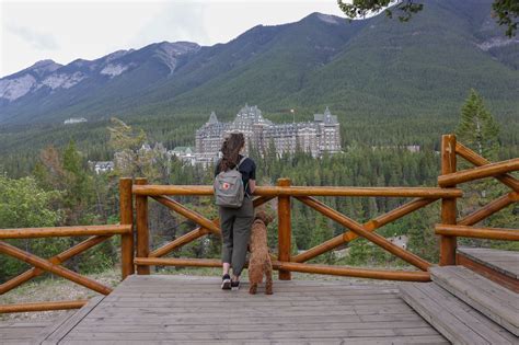 Must See Viewpoints In Banff Hellorubydoodle