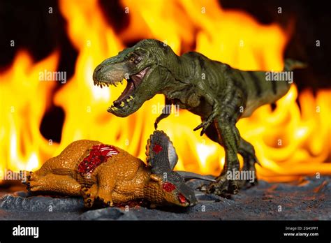 Dinosaurs T Rex Eating