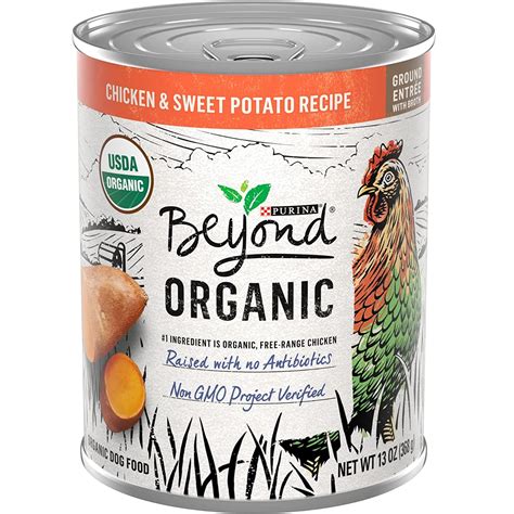 What is Organic Dog Food? | Top 5 Best Organic Dog Food (Review)