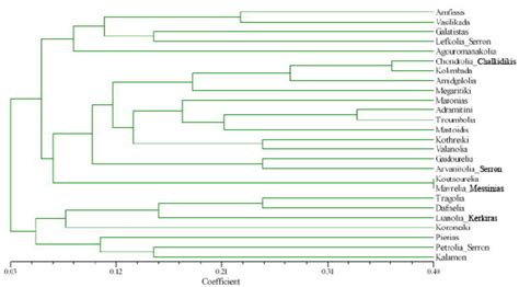 Upgma Dendrogram Obtained From Microsatellite Data For Greek Olive