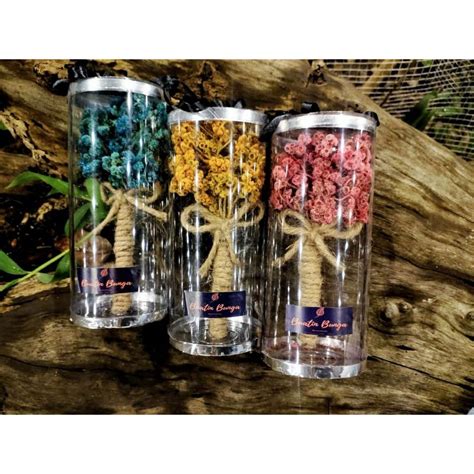 Jual Bunga Kering Tabung Led Dried Flowers Edelweiss Souvenir Buket