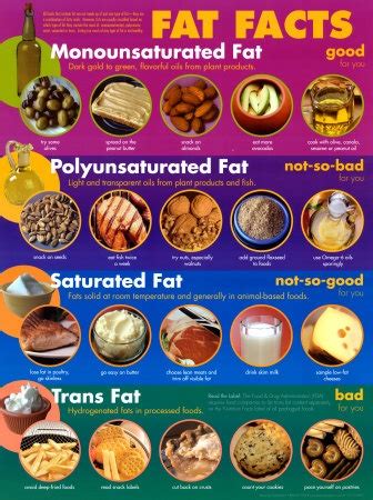 breaking  fat freshandfitorg