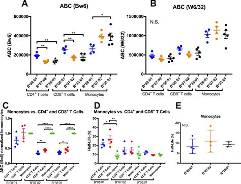 Variations In Hla B Cell Surface Expression Half Life And