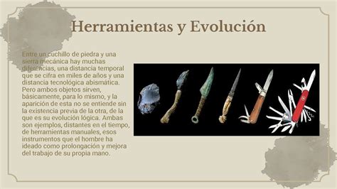 SOLUTION Herramientas Y Evolucion Studypool