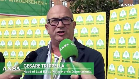 Filiera Tabacco Coldiretti E Philip Morris Rinnovano L Accordo Video