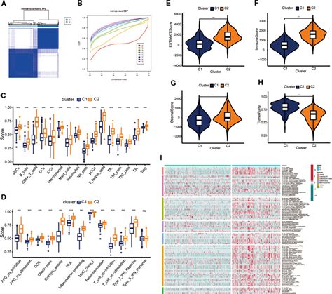 Frontiers Machine Learning Based Identification Of A Consensus Immune