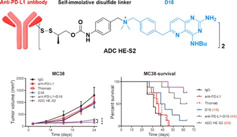 Immune Modulating Antibodydrug Conjugate Im Adc For Cancer