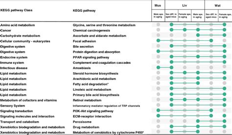Sex Dimorphism And Tissue Specificity Of Gene Expression Changes In Aging Mice Pmc