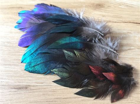 RARE Himalayan Monal Pheasant feathers