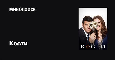Кости (сериал, 1-12 сезоны, все серии), 2005-2017 — описание ...